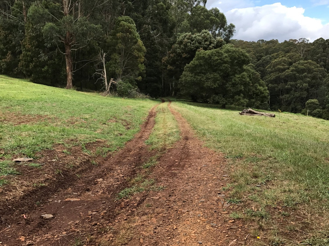 Walhalla Goldfields Rail Trail景点图片