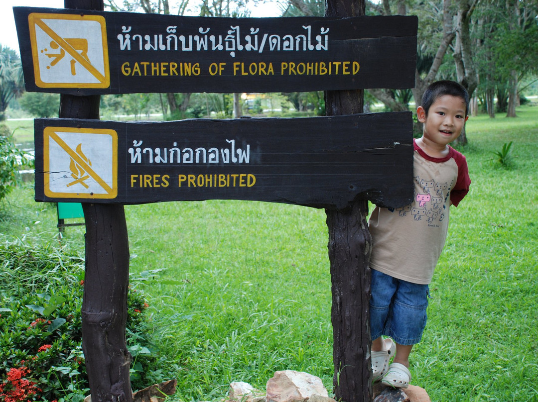 Thap Lan National Park景点图片