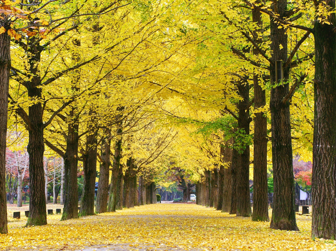 Korea Time Tour-首尔必去景点