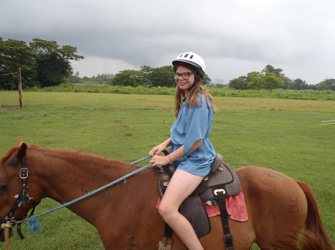 Aviva Farms-纳迪市必去景点