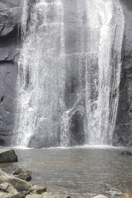 Hogsback Visitors' Information Centre-Hogsback必去景点