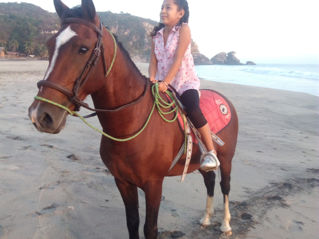 Montate a la Aventura Eco Tour a Caballo景点图片
