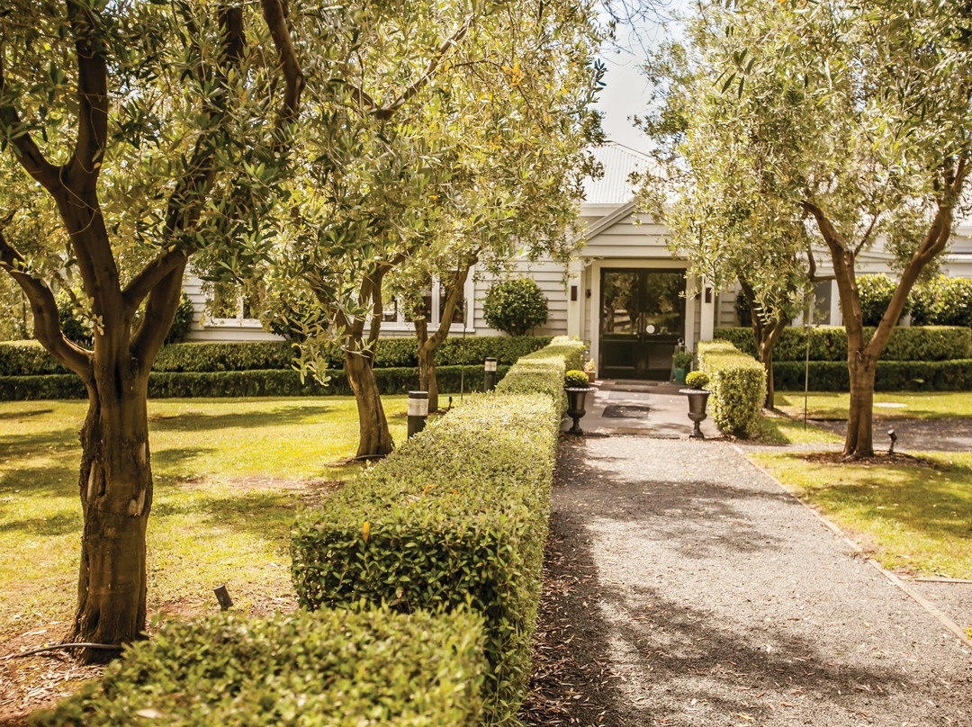 Simunovich Olive Estate-Bombay必去景点