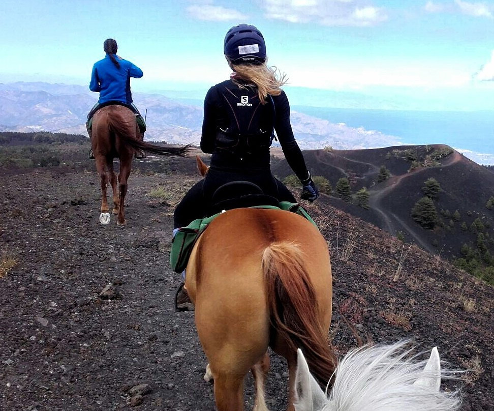 Sicily Horse Riding景点图片