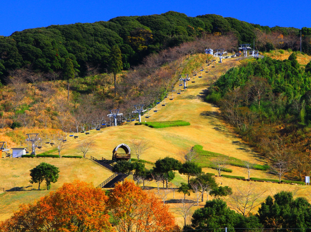 Lively Petting Land-都城市必去景点