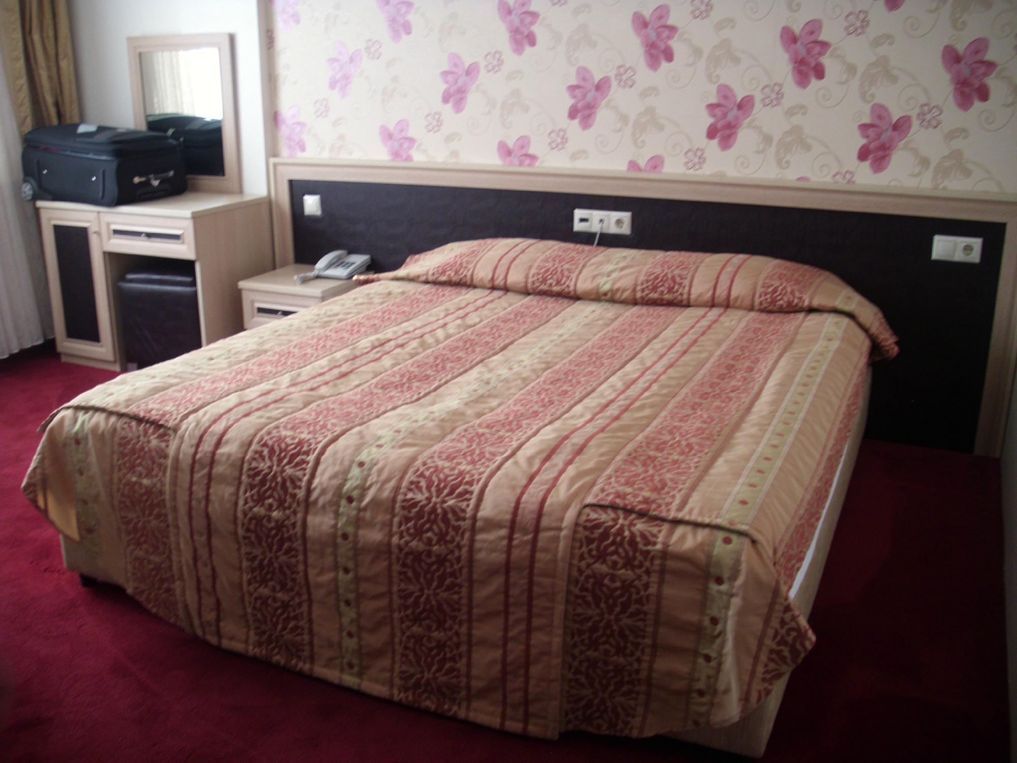 Ayvaz Park Hotel-客卧
