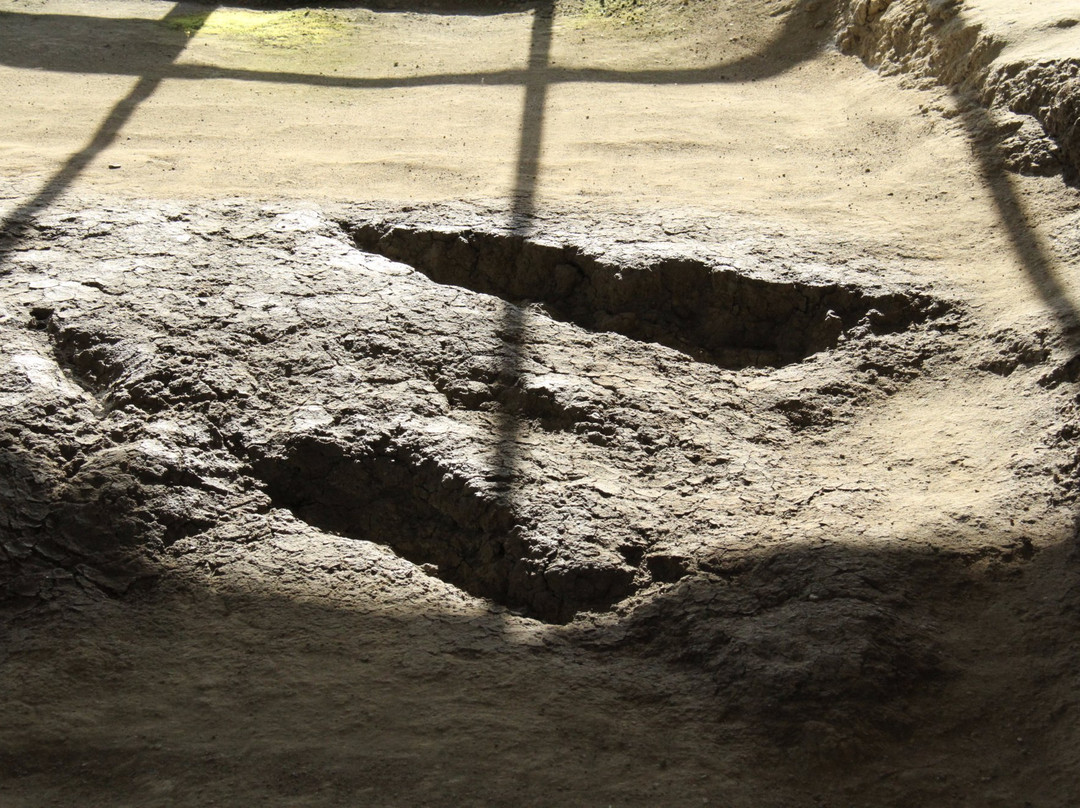 Nojima Fault Preservation Museum-淡路市必去景点
