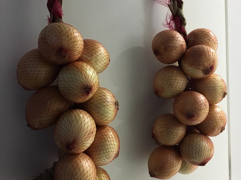 Feira do Pacaembu-圣保罗必去景点