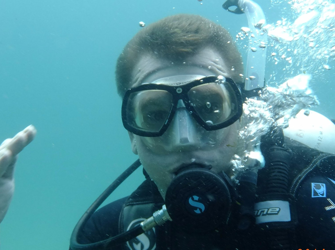 Freestyle Divers-Dibba Al Fujairah必去景点