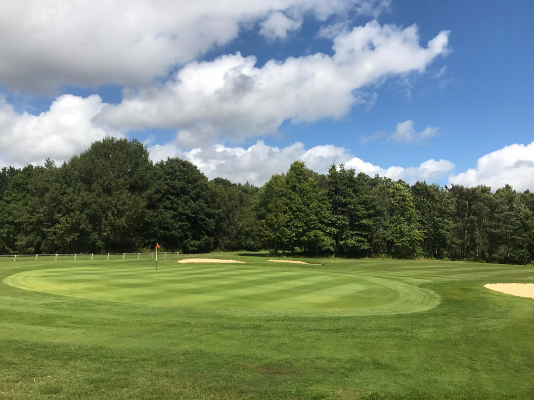 Tilgate Forest Golf Centre景点图片
