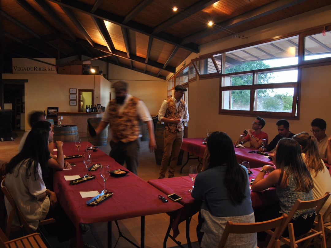 Garraf Wine Tours-Sant Pere de Ribes必去景点