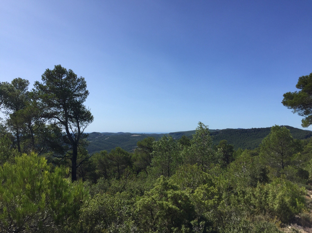 Font Cuitora-La Llacuna必去景点