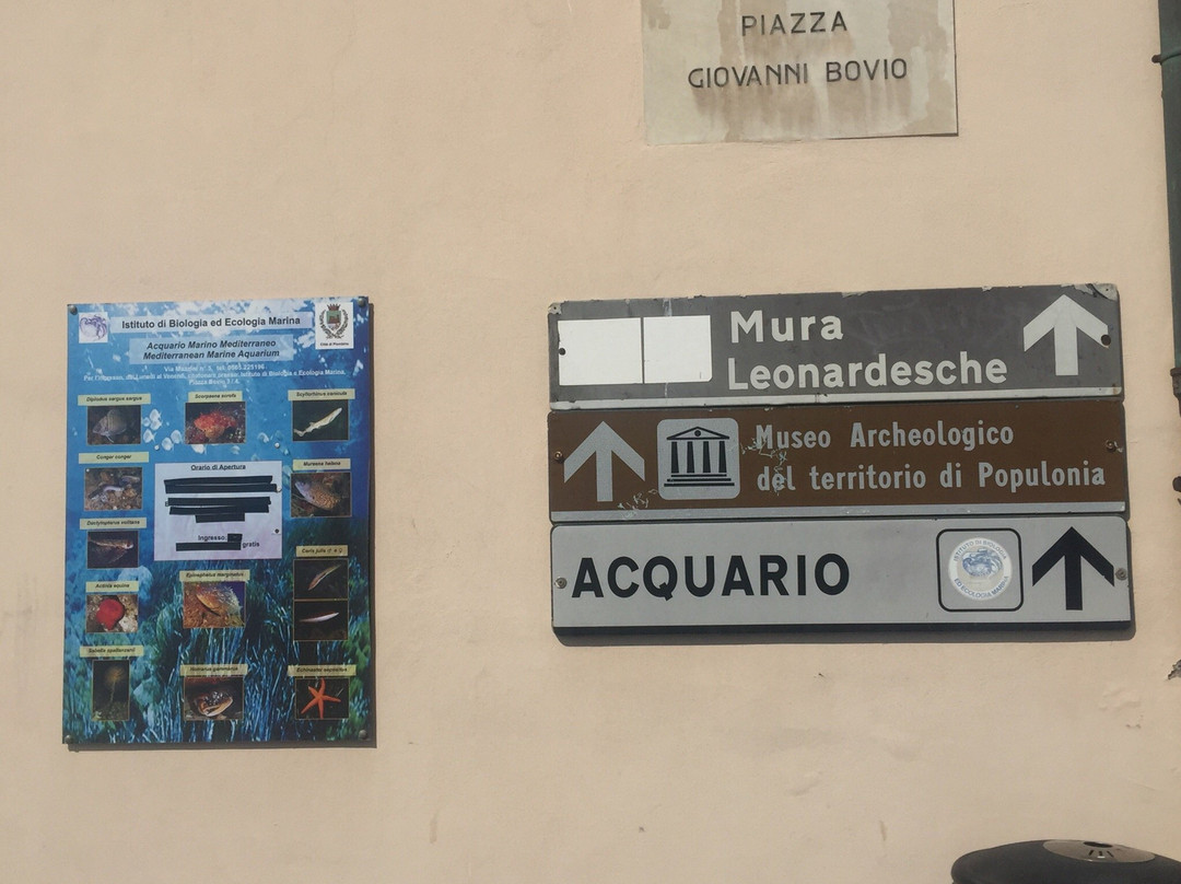 Museo del Mare景点图片