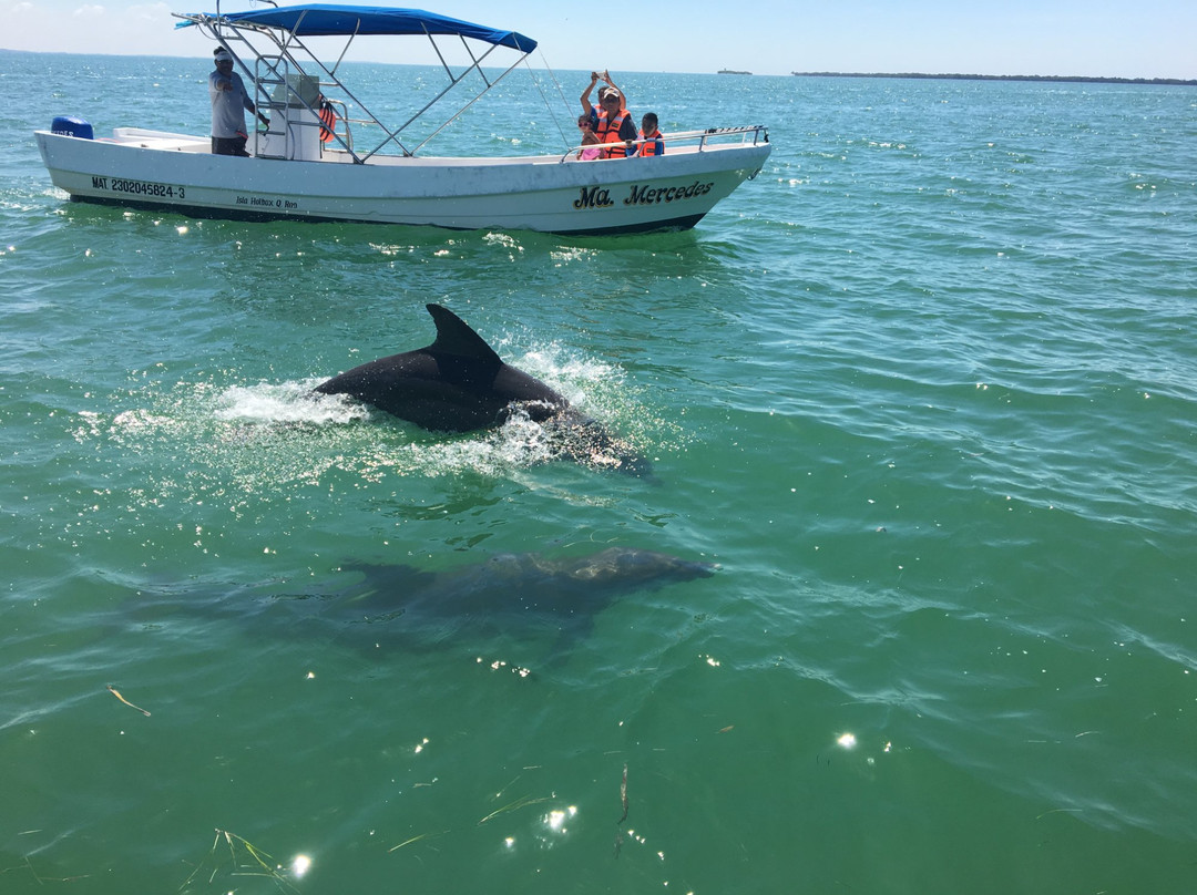 Holbox Whale Shark Tours-Holbox Island必去景点