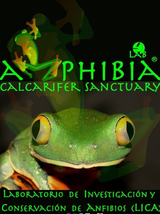 Amphibia景点图片