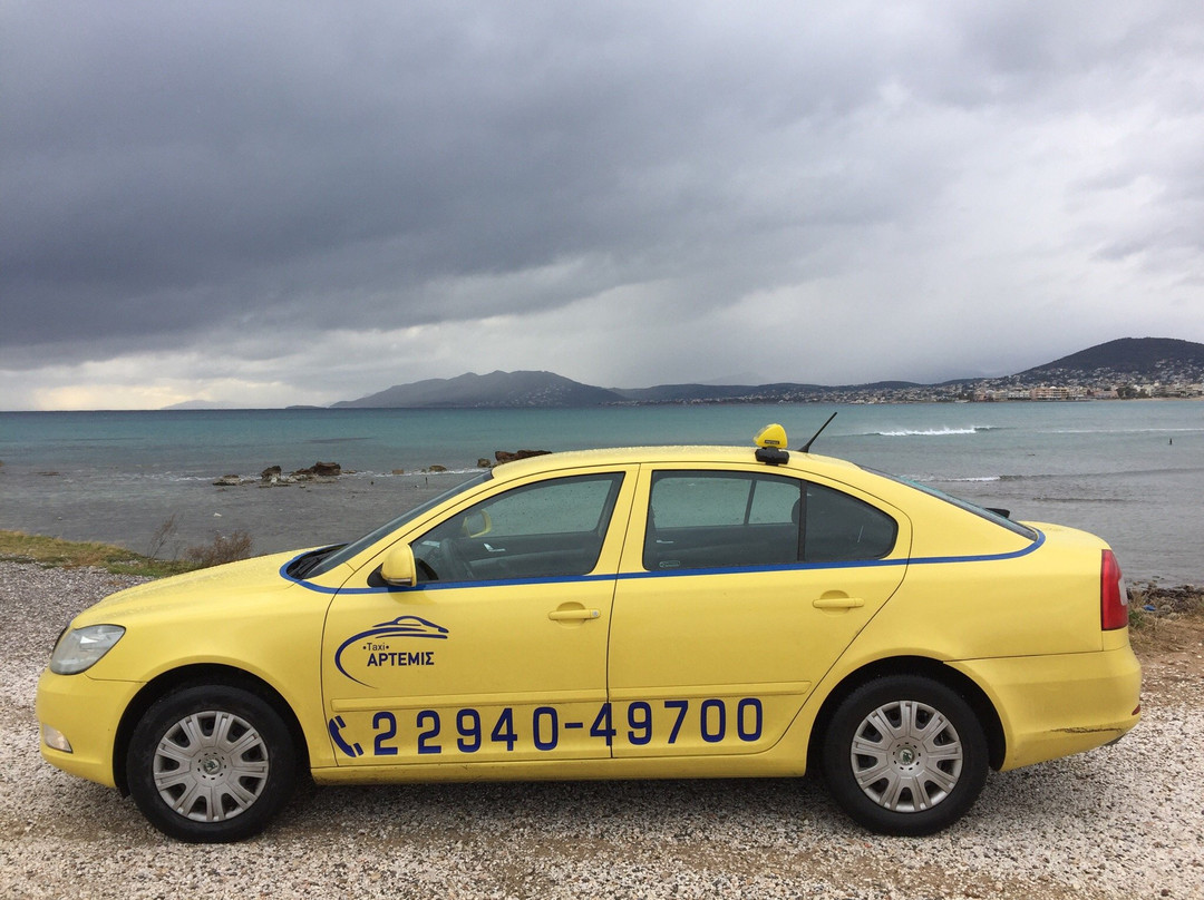 Taxi Artemis景点图片