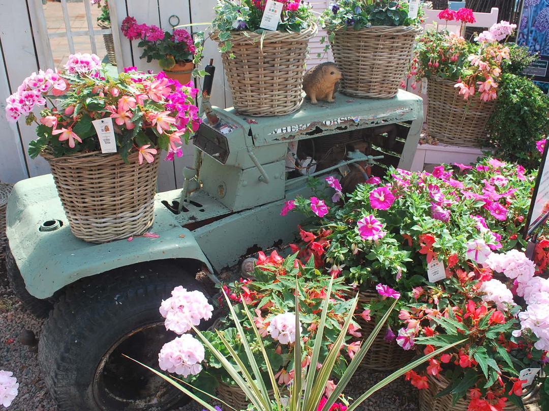 Creative Gardens-Ballymena必去景点