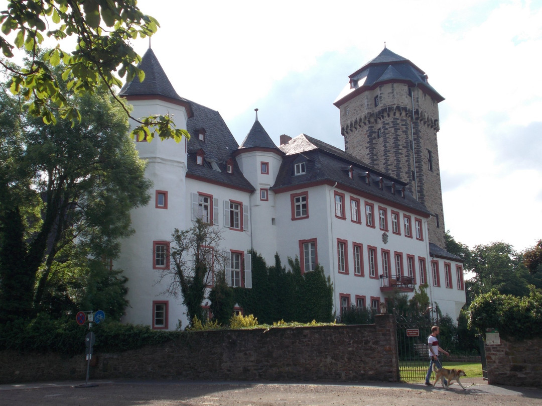 Schloss Martinsburg景点图片