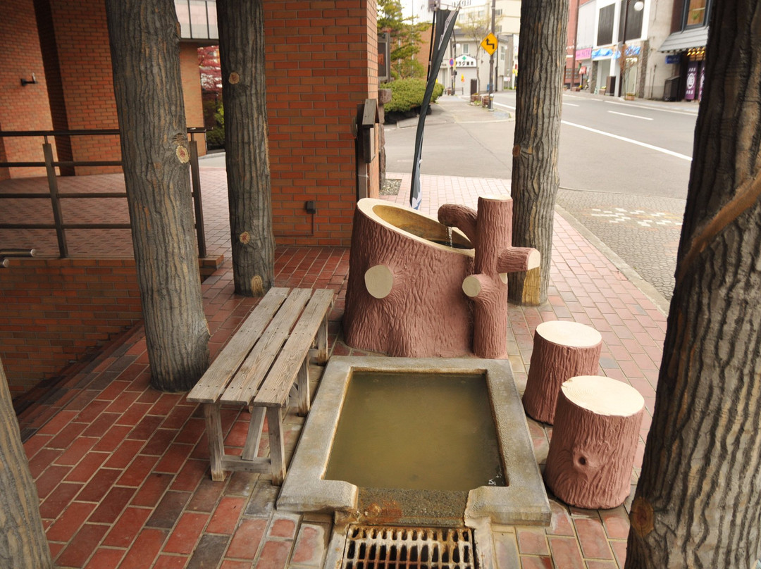 Longevity Hand & Foot Bath-洞爷湖町必去景点