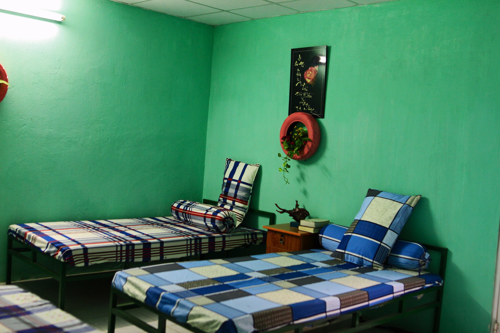 Green Field Homestay-官方