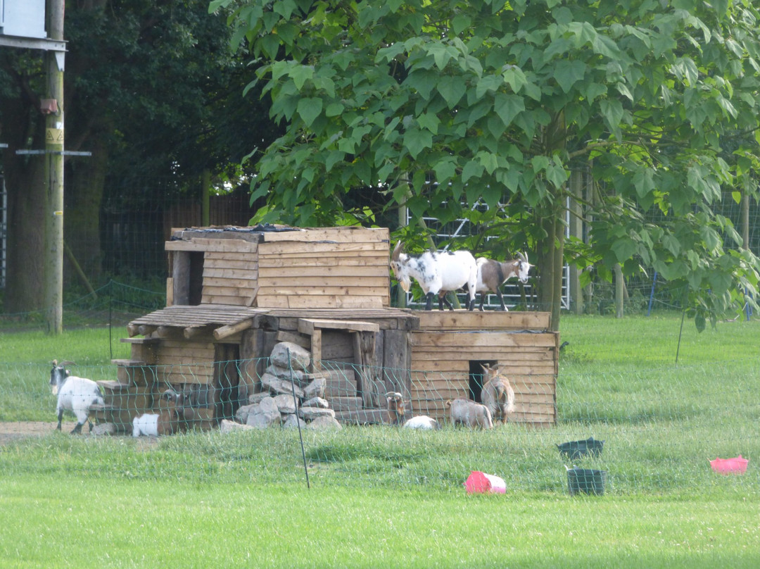Reindeer Park