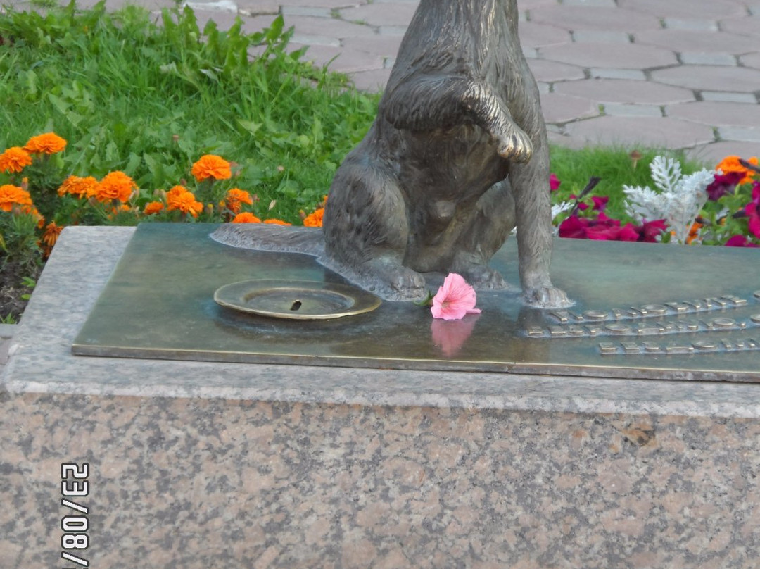 Monument to Homeless Dog景点图片