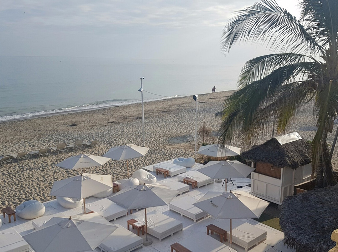 Mango de Costa Azul主图