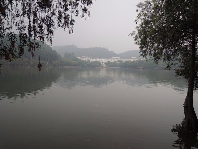东莞虎英郊野公园-东莞市必去景点