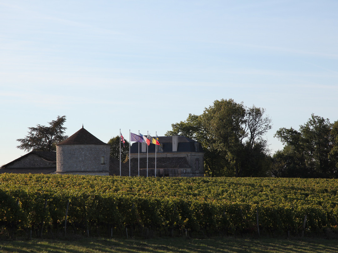 Château Montdoyen景点图片