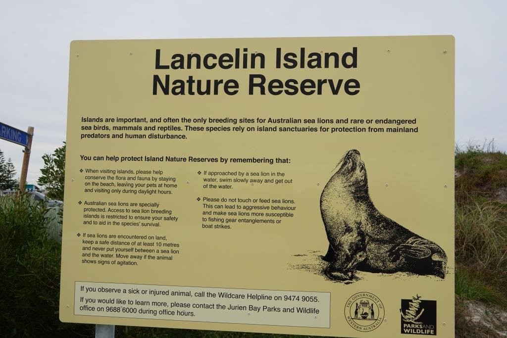 Lancelin Island景点图片