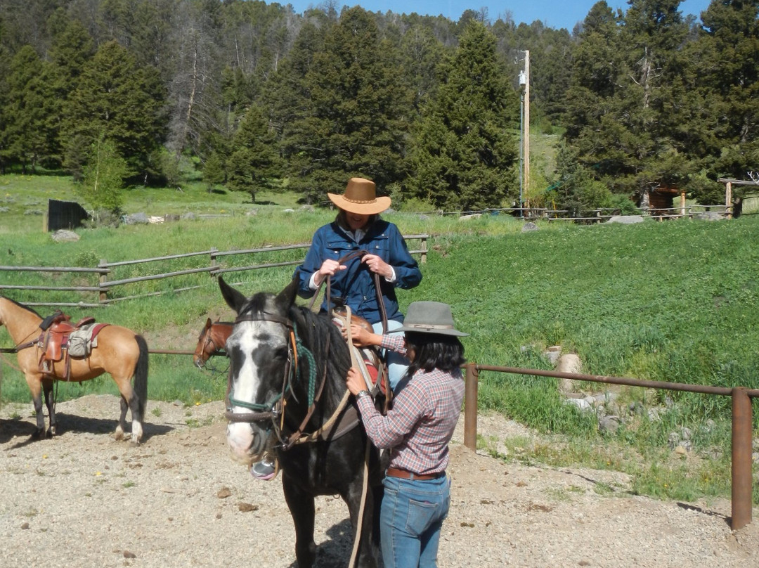 Specimen Creek Outfitters-加德纳必去景点