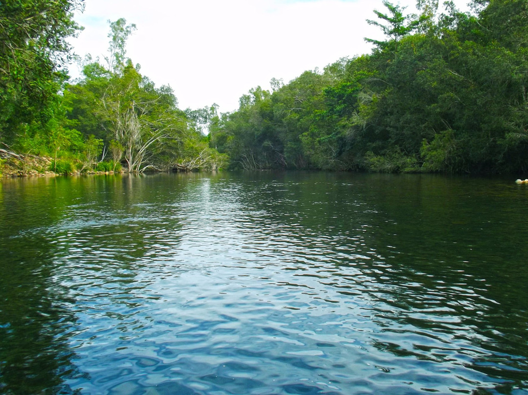 Broadwater National Park