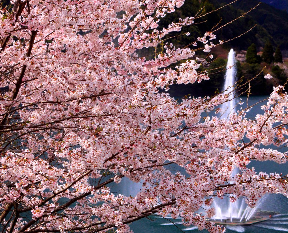 Ichifusa Dam Lake Giant Fountain景点图片