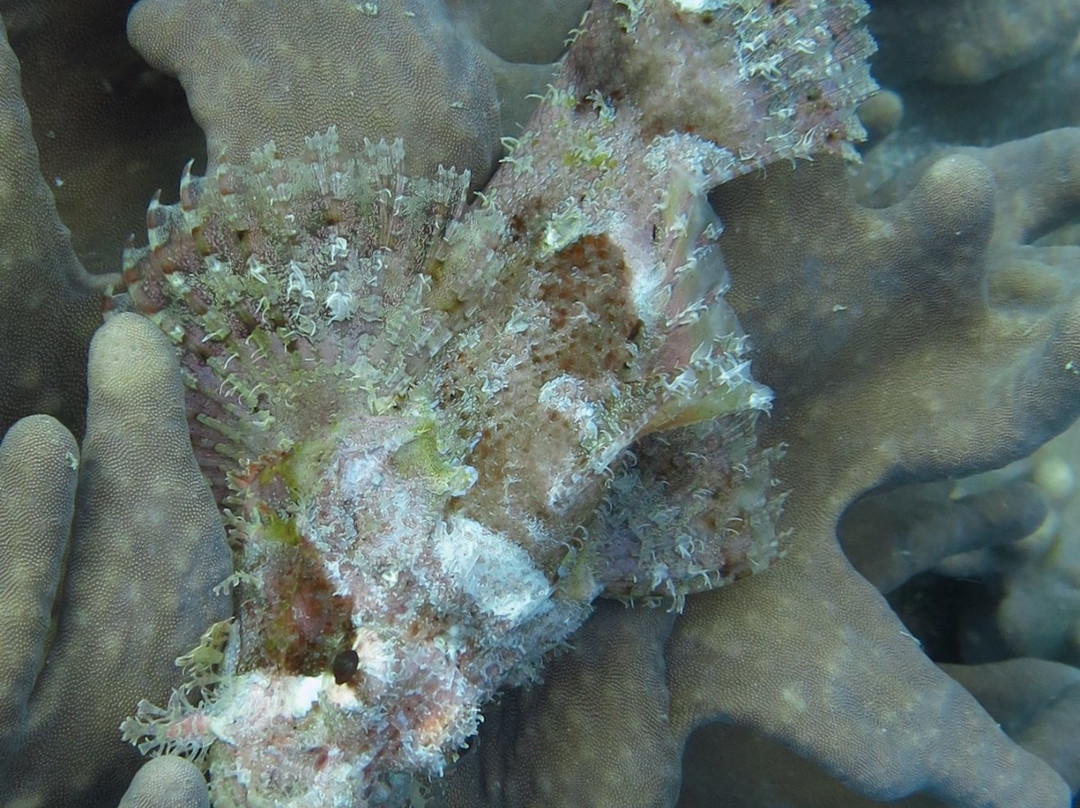 Arko Beach-邦劳岛必去景点