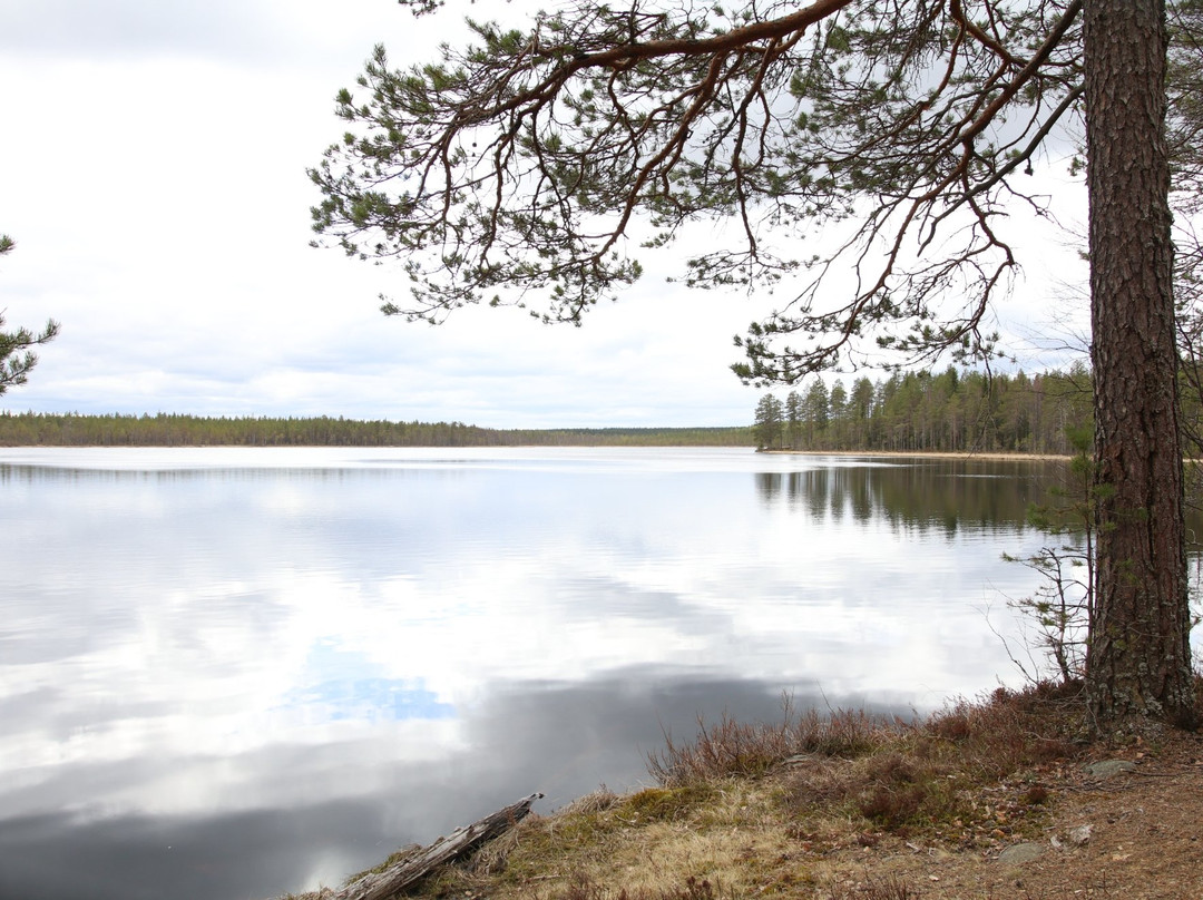 Kulhanvuori Hill Nature Reserve景点图片