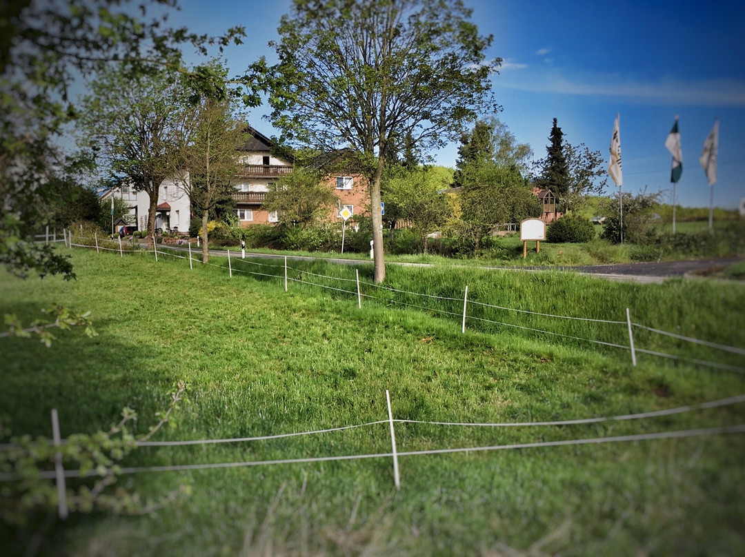 Hotel & Pension Haus Dewenter  Lichtenau主图