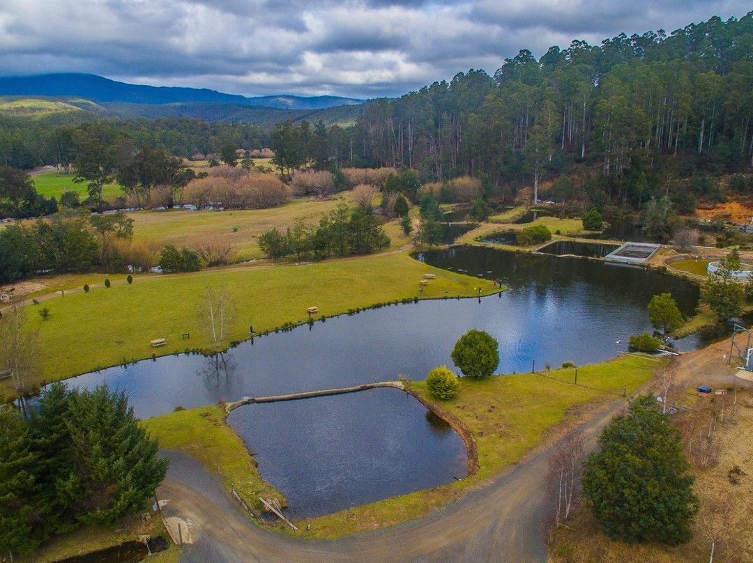 Mountain Stream Fishery-Targa必去景点