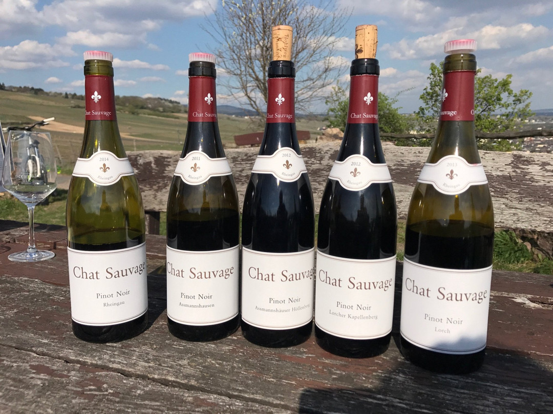 Weingut Chat Sauvage-盖森海姆必去景点