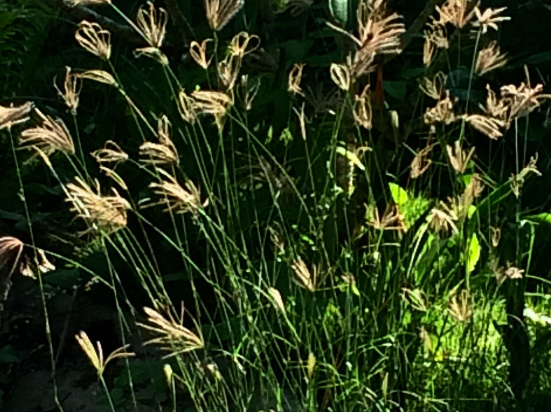 Coco Valley Garden Hotel主图