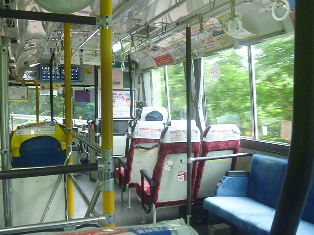Ryukyu Bus Kotsu景点图片