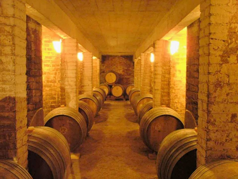 Bodega Familia Di Tommaso景点图片