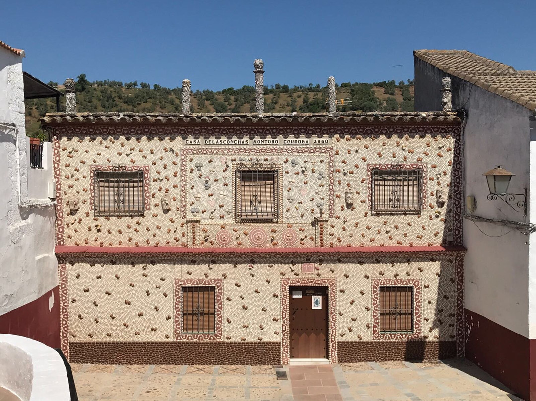 Casa de Las Conchas de Montoro景点图片