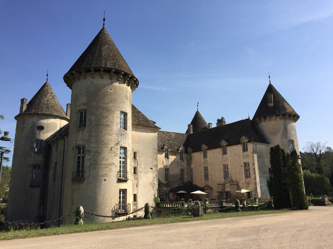 Aubigny-la-Ronce酒店住宿-默林城堡B&B旅馆