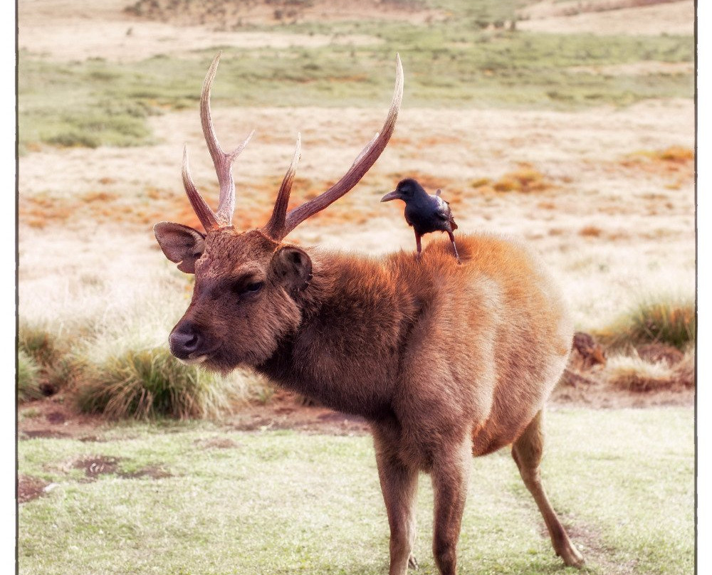 Hansali Reisen-加勒必去景点