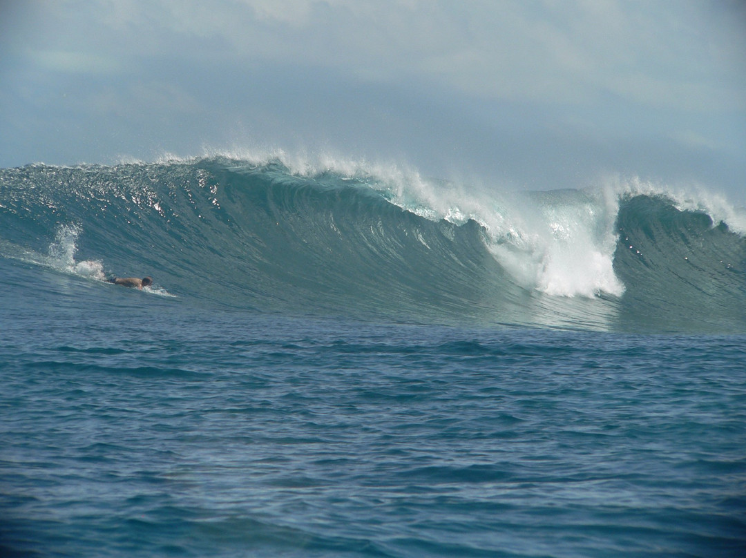 Escuela de Surf H2O-San Vicente de la Barquera必去景点
