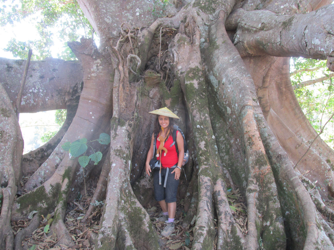 TREKKING AND MOTORBIKE TOURS-Kyaukme必去景点