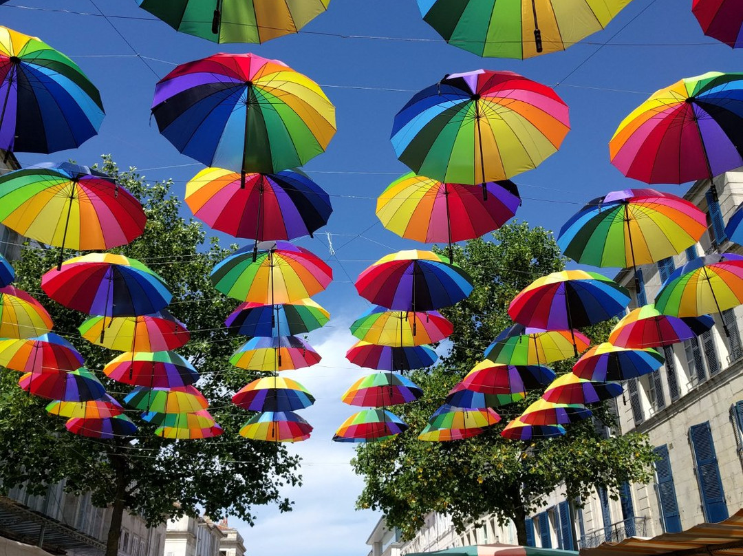 Petit Train Rochefort-罗什福尔必去景点