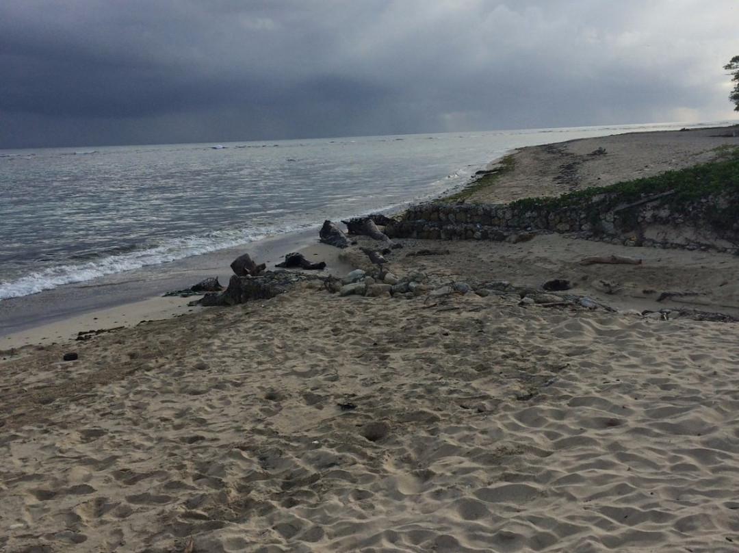 Long Beach-普拉塔港必去景点