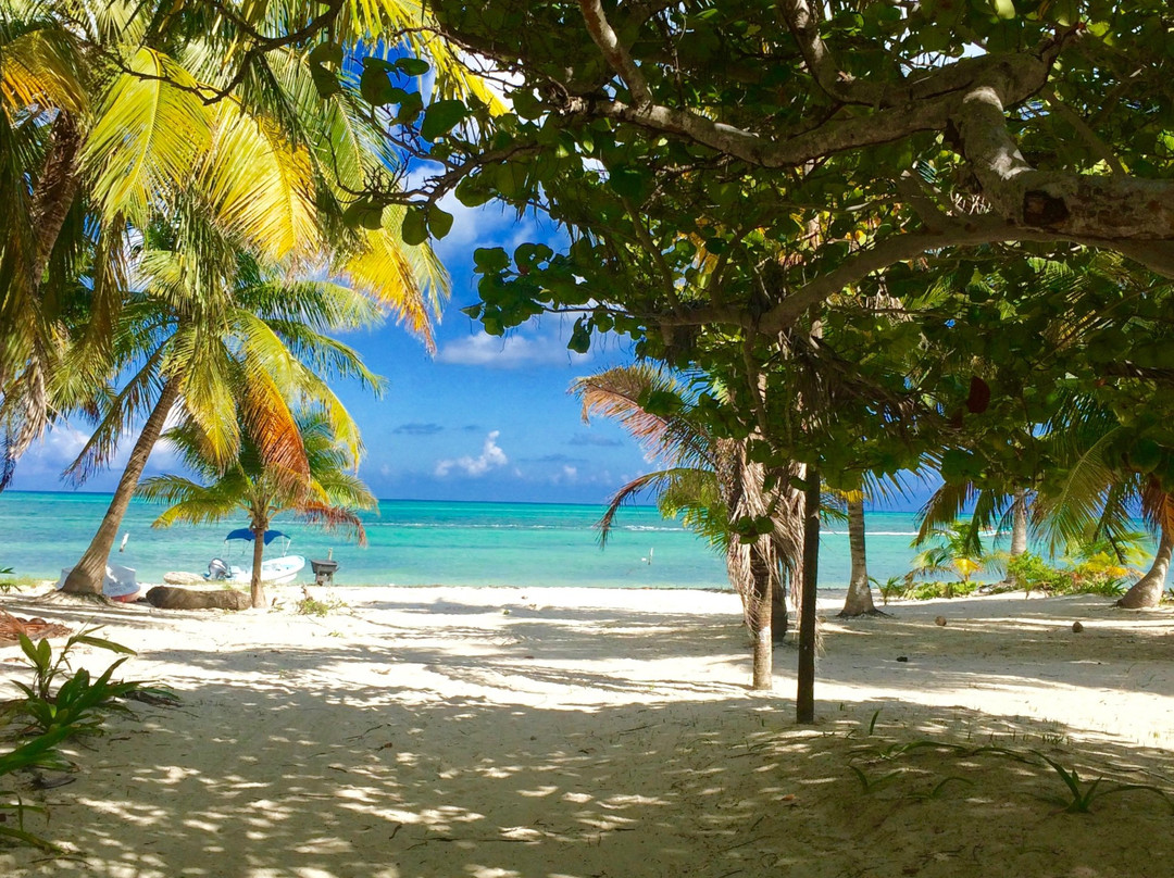 The Ascension Bay Bed and Breakfast主图