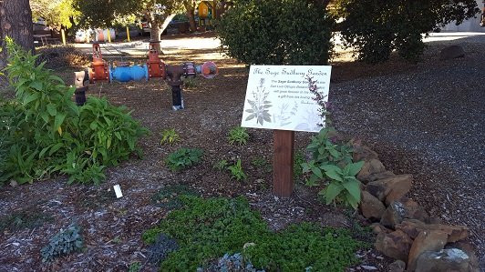 San Luis Obispo botanical garden景点图片